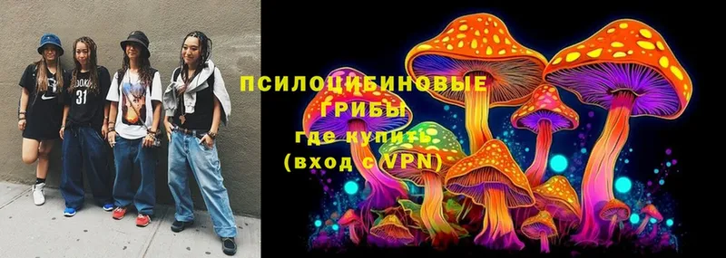 купить  цена  Дальнереченск  Псилоцибиновые грибы Cubensis 